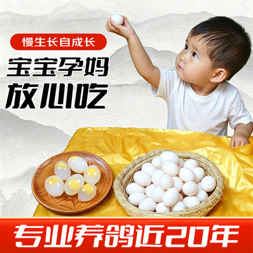 新鲜现货直发顺丰包邮散养土鸽蛋