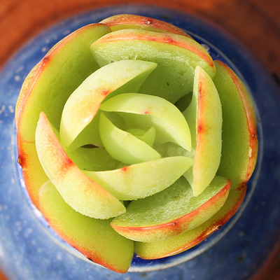 碧桃碧桃防辐射多肉植物盆栽