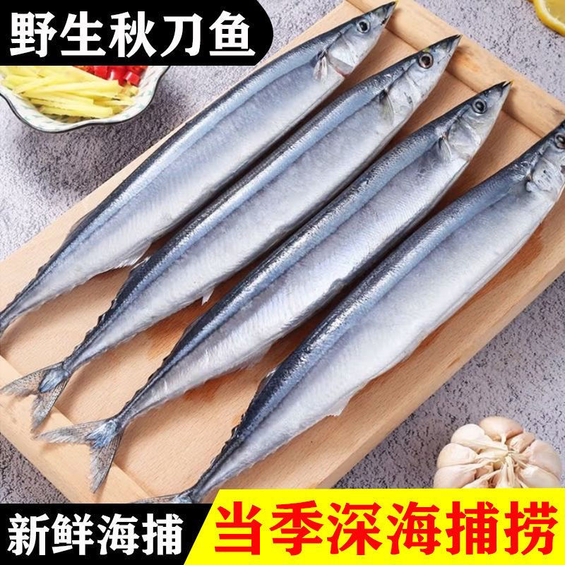 秋刀鱼新鲜冷冻商用整箱大号烧烤料理海鲜水产鲜活深海鱼20斤/件