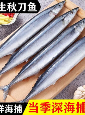 秋刀鱼新鲜冷冻商用整箱大号烧烤料理海鲜水产鲜活深海鱼20斤/件