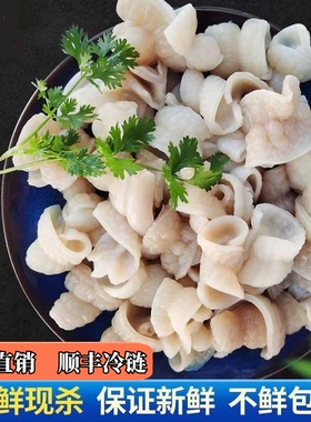 新鲜沙鱼肠沙鱼肚沙鱼皮鱼胶鱼肠鱼脆肠脆肚烧烤麻辣烫火锅食材