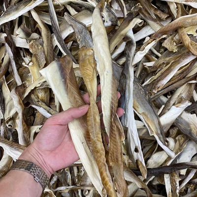 天然日晒鲨鱼皮干沙鱼皮淡干无盐