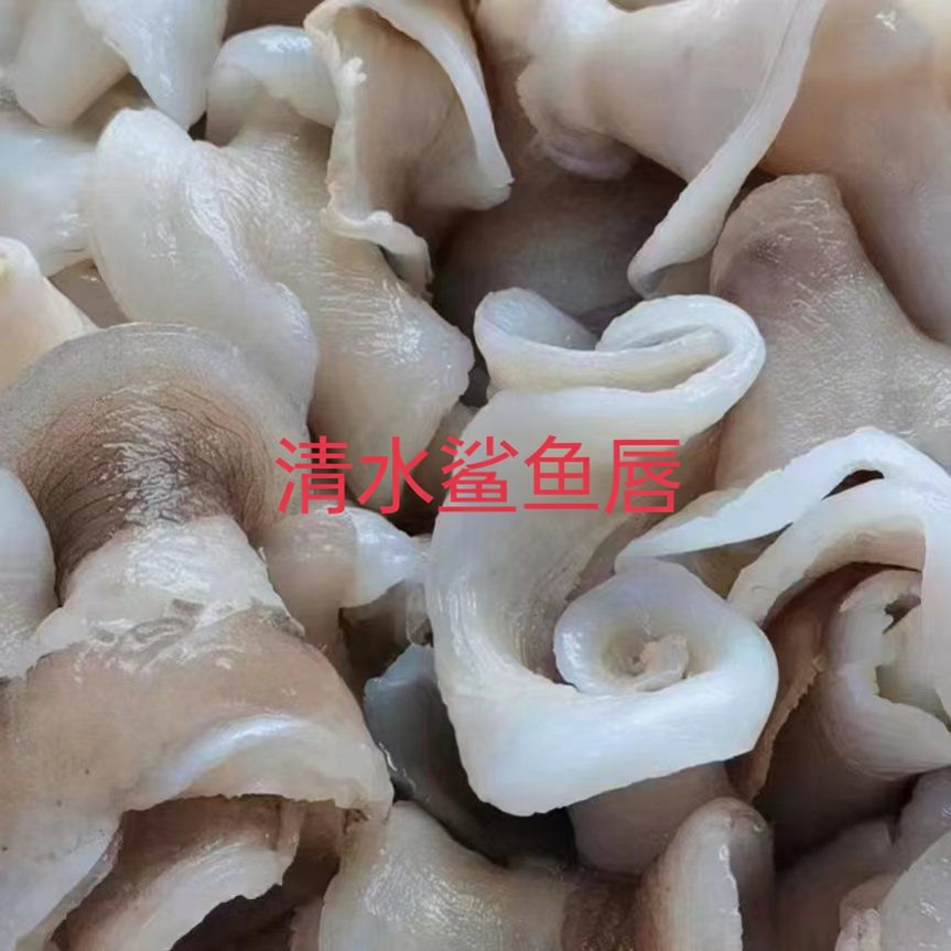 清水鲨鱼唇正宗新鲜鱼嘴处理免泡发优质厚肉鱼唇煲汤红烧火锅食材