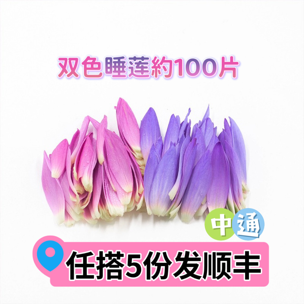 睡莲花瓣食用荷花西餐摆盘装饰