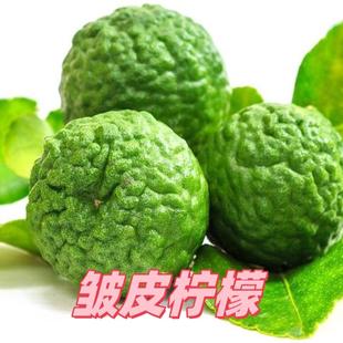 新鲜粗皮柠檬 丑果柠檬 皱皮柠檬 毛里橙泰国菜 马蜂橙500g