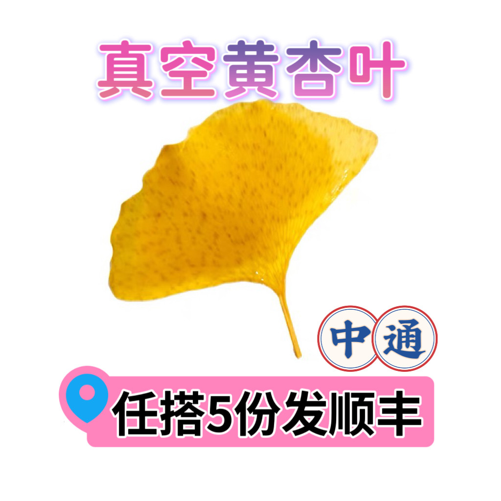 黄色银杏叶真空包装盐渍鲜叶子西餐摆盘日料蛋糕烘培装饰点缀花草