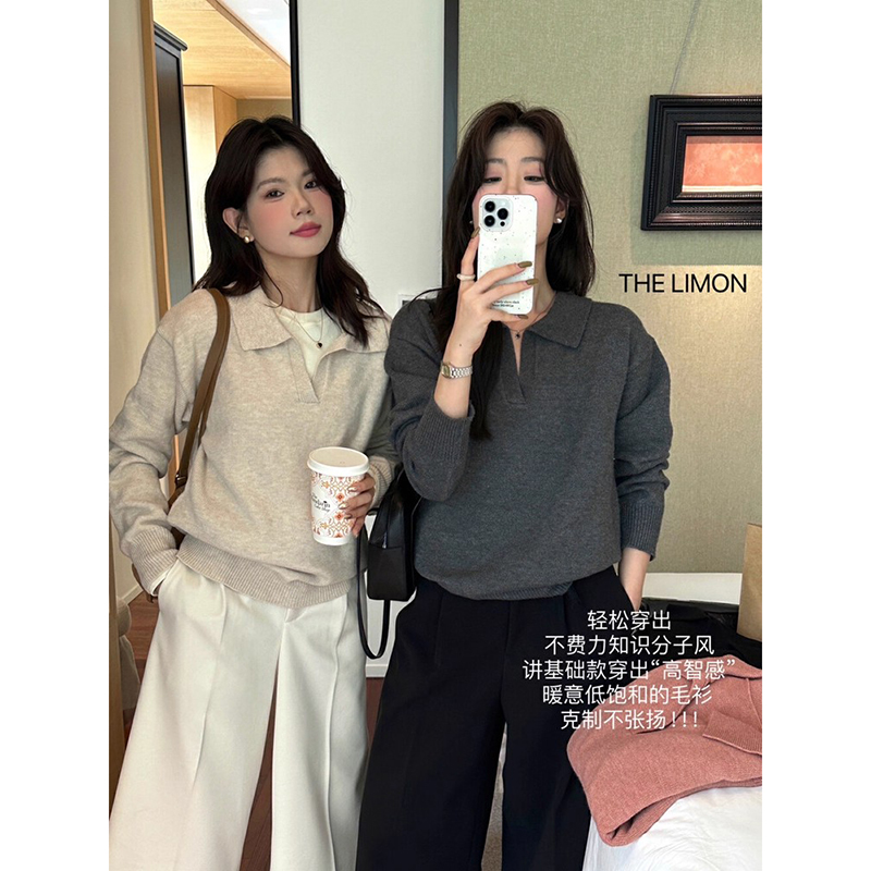 高级感气质翻领针织衫女秋冬慵懒风宽松毛衣内搭打底衫polo衫上衣