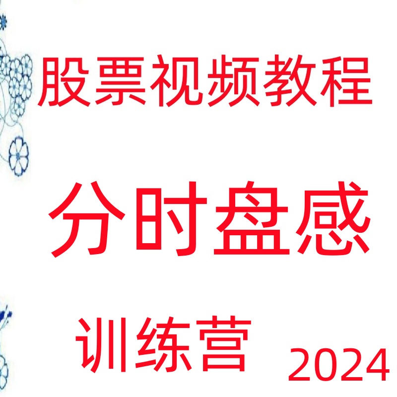 李栋分时盘感训练精准抄底逃顶高抛低吸热点板块涨停买卖点236-1
