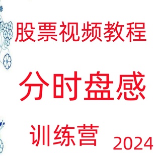 李栋分时盘感训练精准抄底逃顶高抛低吸热点板块涨停买卖点236