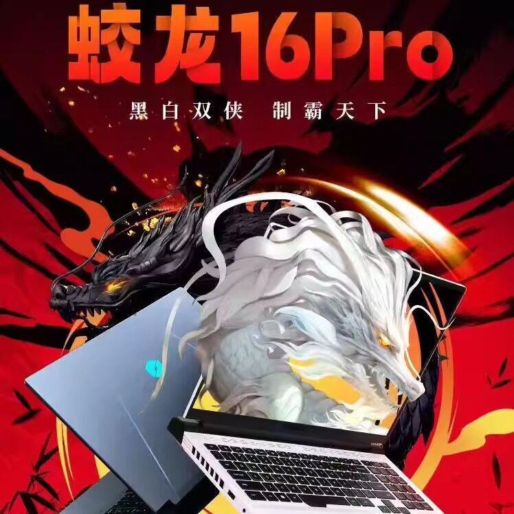 MECHREVO/机械革命 蛟龙16 Pro/16K/17K 新款电竞学生游戏本