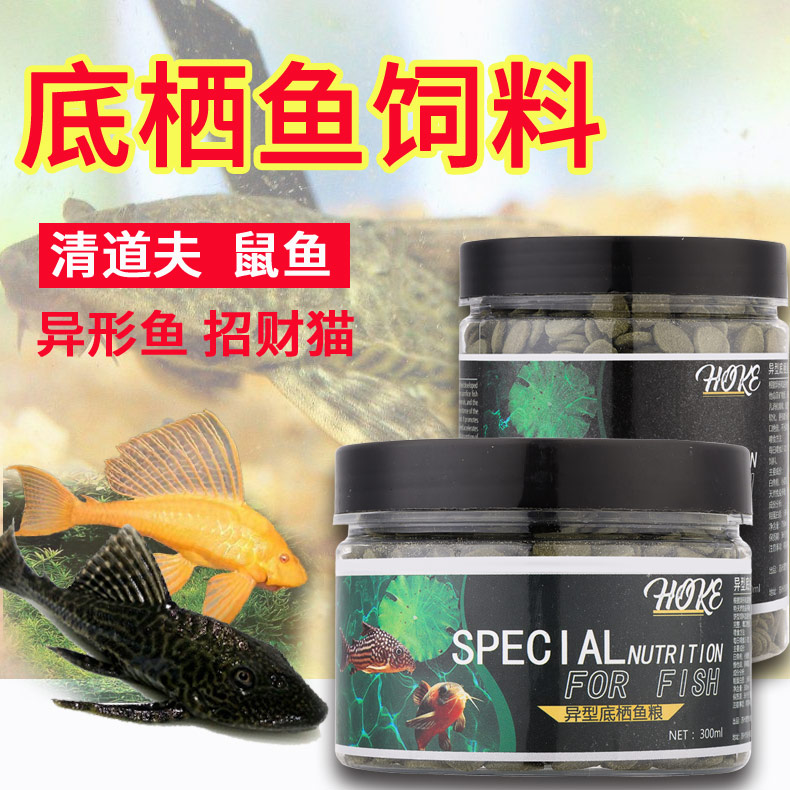 螺旋藻片异型鱼鼠鱼清道夫水晶虾极火观赏虾粮底栖鱼贴片饲料鱼食 宠物/宠物食品及用品 观赏鱼饲料 原图主图