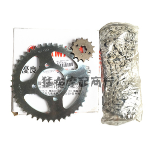 适用雅马哈YS飞致125/150天剑150天琪套链链条链轮大小牙盘 45齿