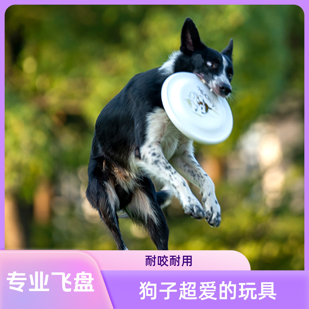 训犬赛事标准耐咬训练飞盘