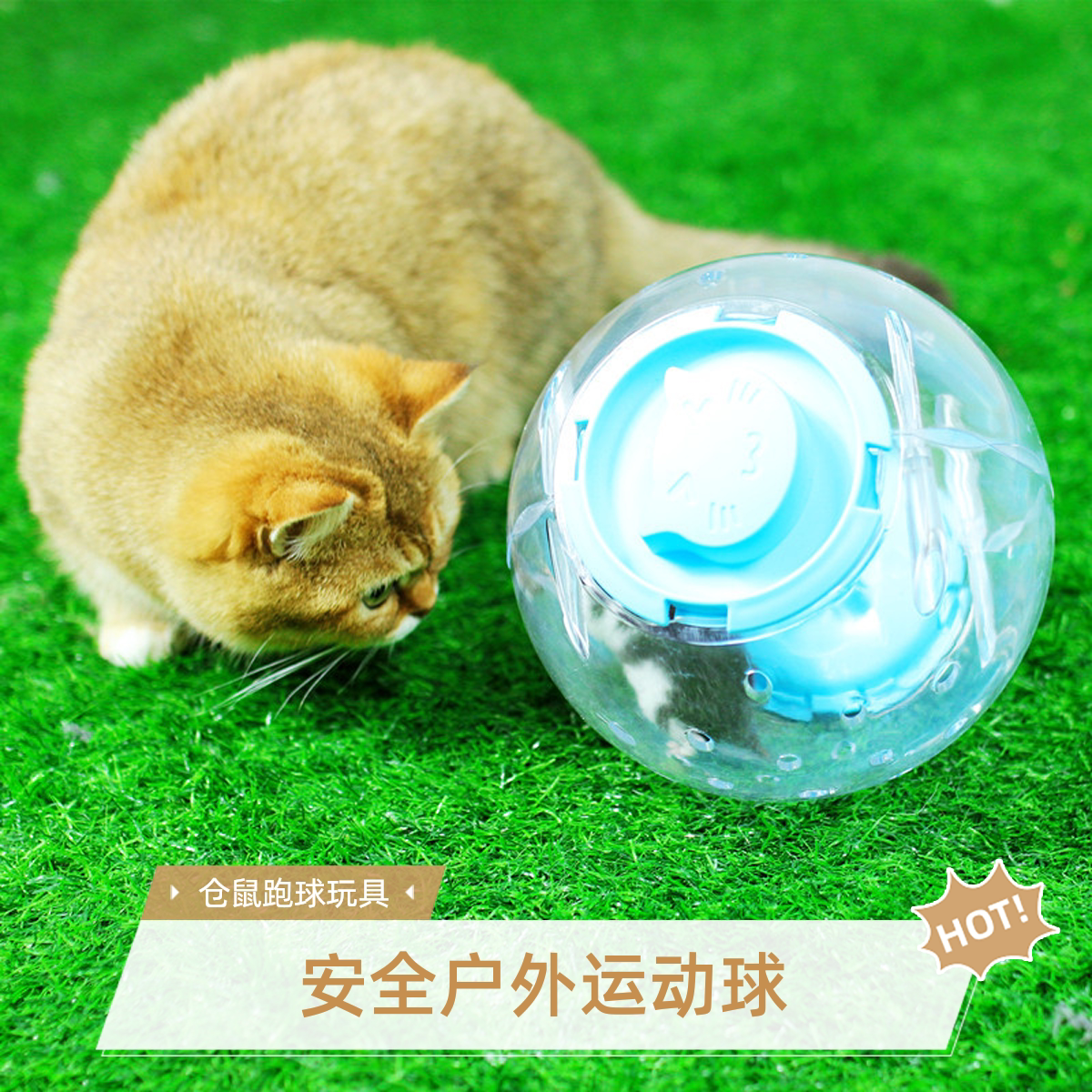 仓鼠跑球金丝熊运动球玩具