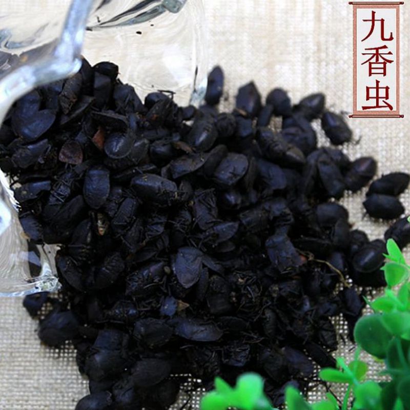 正品九香虫中药材大个九香虫打屁虫臭大姐屁巴虫黑兜虫可免费磨粉