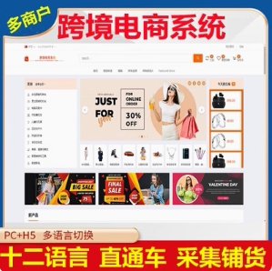 海外商城App跨境电商系统软件开发H5网页小程序多语言多商户平台