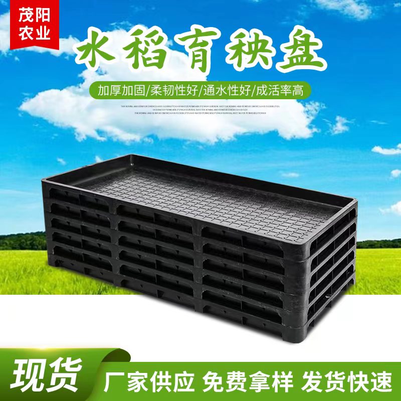 加厚7寸水稻育秧盘 水稻育苗盘 插秧机秧苗盘硬盘 秧苗盘