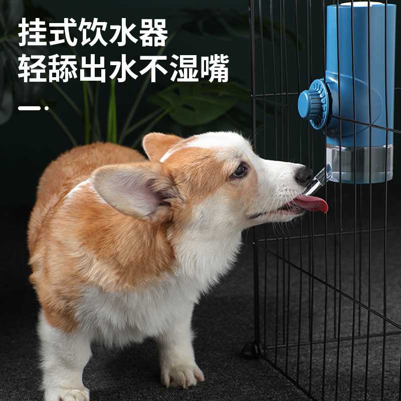 狗狗喝水器不湿嘴猫咪挂式自动饮水机流动喂水悬挂式水壶宠物用品