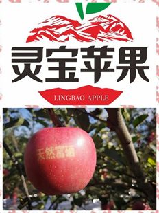 河南特产三门峡灵宝寺河山红富士苹果脆甜爽口礼盒15个果85元包邮