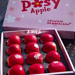 新西兰小花苹果脆甜纯甜12颗大果礼盒顺丰空运 包邮