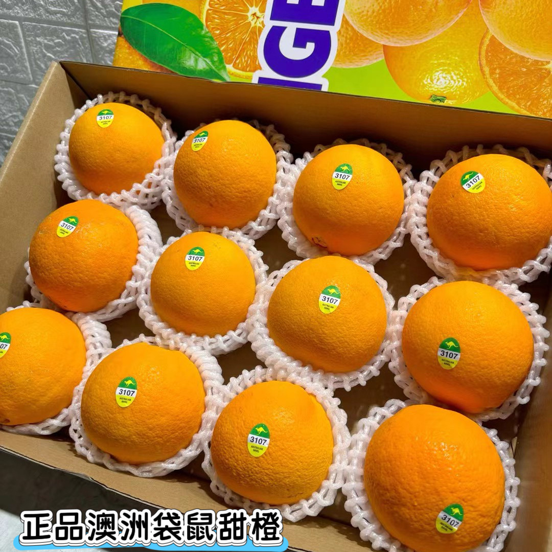 正品澳洲袋鼠甜橙3107甜橙12颗装新鲜甜橙精品水果礼盒装发顺丰图片