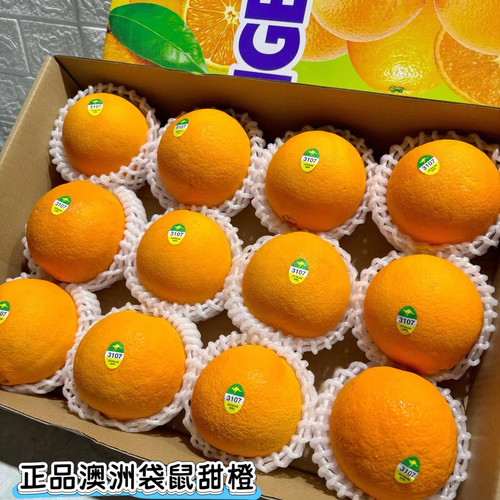 正品澳洲袋鼠甜橙3107甜橙12颗装新鲜甜橙精品水果礼盒装发顺丰