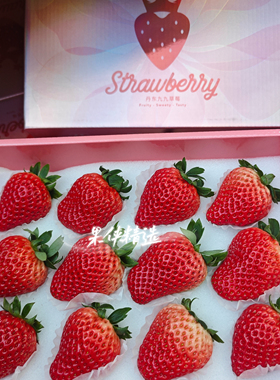 正宗丹东奶油草莓12颗精品礼盒装好吃推荐顺丰空运包邮
