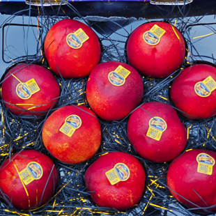 澳洲金腰带黄油桃礼盒10个装新年礼物顺丰包邮