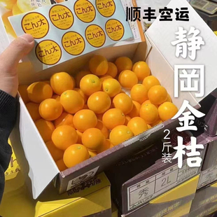 静冈金桔装限量版金桔皮薄化渣顺丰包邮