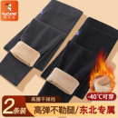 驼绒保暖裤 打底裤 男加绒加厚东北高腰防寒大码 棉裤 秋裤 啄木鸟冬季