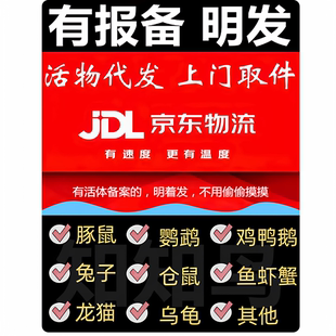 顺丰寄乌龟活物代寄小宠物代发宠物代寄鹦鹉守宫仓鼠宠物快递明发