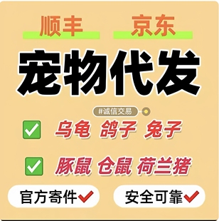 活体代发全国取件 有活体备案 宠物快递 活物快递 全国代寄