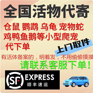 活体快递活物代发寄爬宠宠物邮寄活物快递仓鼠快递京东快递上门