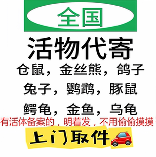 全国活体寄乌龟鱼活物代寄鹦鹉仓鼠守宫宠物快递上门活体托运代发