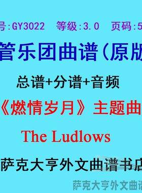 3.0级燃情岁月主题曲总谱
