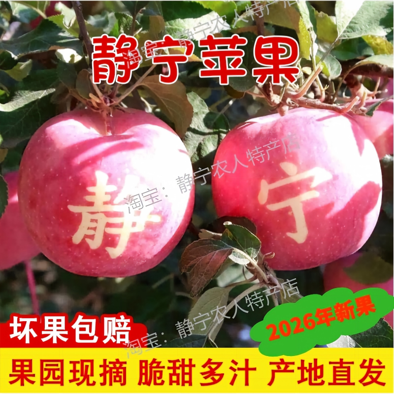 静宁苹果精品红富士好果产地直发