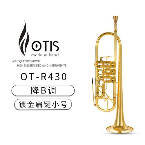 OTIS 扁键小号 OT-R430