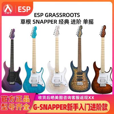 入门乐手101  GRASSROOTS草根SNAPPER电吉他新手入门进阶单摇