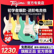 塔吉玛电吉他TG530pro510 T635 tw55儿童初学者Stella cndw