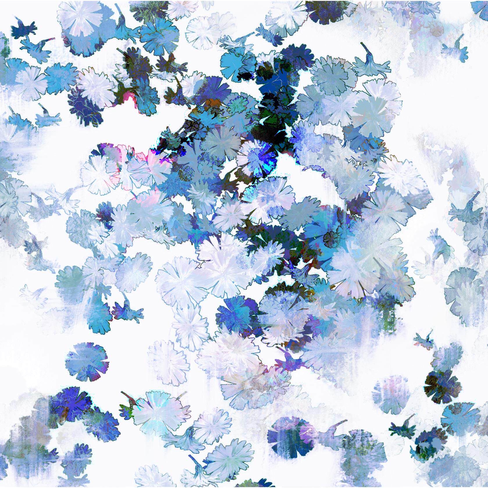 【procreate笔刷】蒲公英/雏菊花卉6款,ipad绘画素材商用