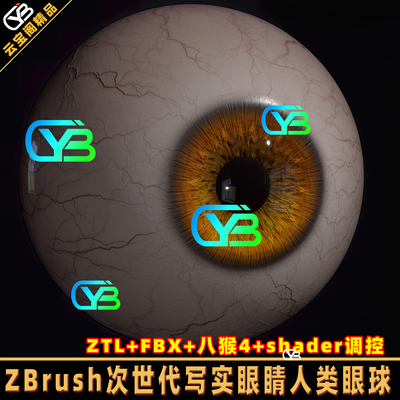次世代写实人类眼球ZB角色模型
