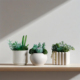 创意仿真可爱多肉植物盆栽带盆小绿植花卉客厅室内桌面装 饰品摆件