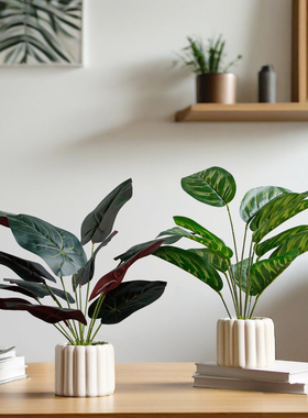 北欧现代风客厅办公室桌面仿真绿植盆栽摆件绿色植物假花造景装饰