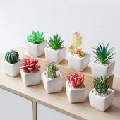 迷你可爱仿真小多肉盆栽绿植摆简约客厅办公室桌面仿真花假多肉