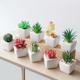 迷你可爱仿真小多肉盆栽绿植摆简约客厅办公室桌面仿真花假多肉