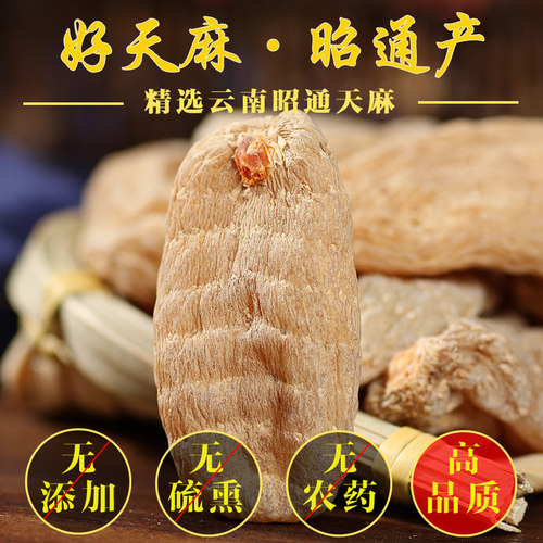 正宗云南昭通小草坝老乌天麻干货特级山野新鲜中药材正品磨粉切片