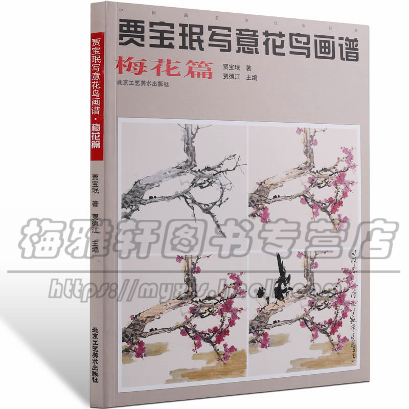 写意梅花技法 贾宝珉 中国画水墨腊梅技法画法步骤如何怎么样画基础