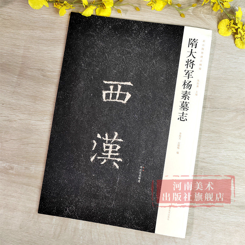 隋大将军杨素墓志新出隋唐碑志精编唐代小楷书毛笔书法碑帖临习临摹鉴赏范本碑贴字帖拓片唐毛笔基础范本墨迹临摹古贴河南美术