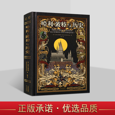 哈利波特与历史(法)达米安.布里多诺著赵飒中文全译本外国英现代儿童长篇小说文学研究 中译出版社
