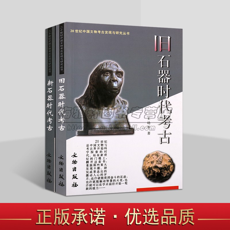 20世纪中国文物考古发现与新旧石器时代研究丛书（共2卷）考古学科发展史和学术研究史丛书 文物出版社